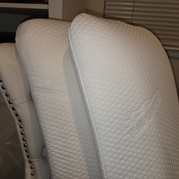 SET OF 2 Tempur-Pedic Symphony Pillows - Picture 2 of 16